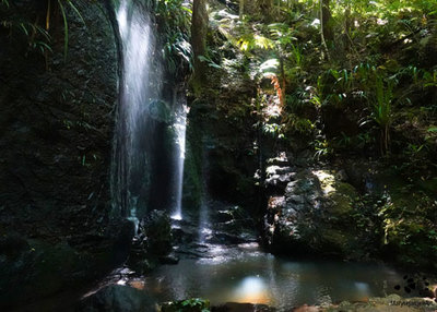 7 Wonders of the Rainforest