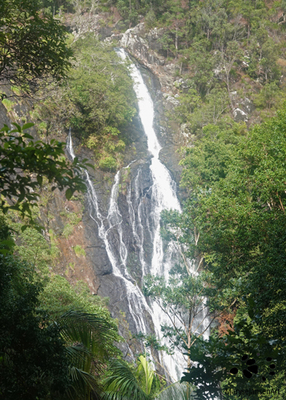 Kondalilla Falls Land of Rushing Water