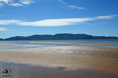 The Irresistible Pull of Magnetic Island